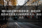爆料站麻豆模特重磅来袭！能在线观看的麻豆反差大V秘闻真相大白，真相大白