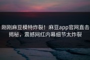 刚刚麻豆模特炸裂！麻豆app官网直击揭秘，震撼网红内幕细节太炸裂