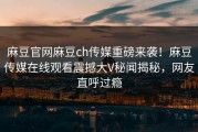 麻豆官网麻豆ch传媒重磅来袭！麻豆传媒在线观看震撼大V秘闻揭秘，网友直呼过瘾