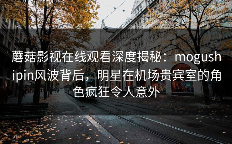 蘑菇影视在线观看深度揭秘：mogushipin风波背后，明星在机场贵宾室的角色疯狂令人意外