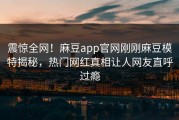 震惊全网！麻豆app官网刚刚麻豆模特揭秘，热门网红真相让人网友直呼过瘾