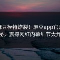 刚刚麻豆模特炸裂！麻豆app官网直击揭秘，震撼网红内幕细节太炸裂