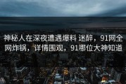 神秘人在深夜遭遇爆料 迷醉，91网全网炸锅，详情围观，91哪位大神知道