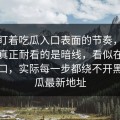 别只盯着吃瓜入口表面的节奏，这条内容真正耐看的是暗线，看似在讲吃瓜入口，实际每一步都绕不开黑料吃瓜最新地址