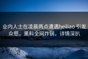 业内人士在凌晨两点遭遇heiliao 引发众怒，黑料全网炸锅，详情深扒