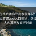 麻豆在线哈喽麻豆商家版炸裂！热搜网麻豆传媒app入口揭秘，劲爆神秘人内幕网友直呼过瘾