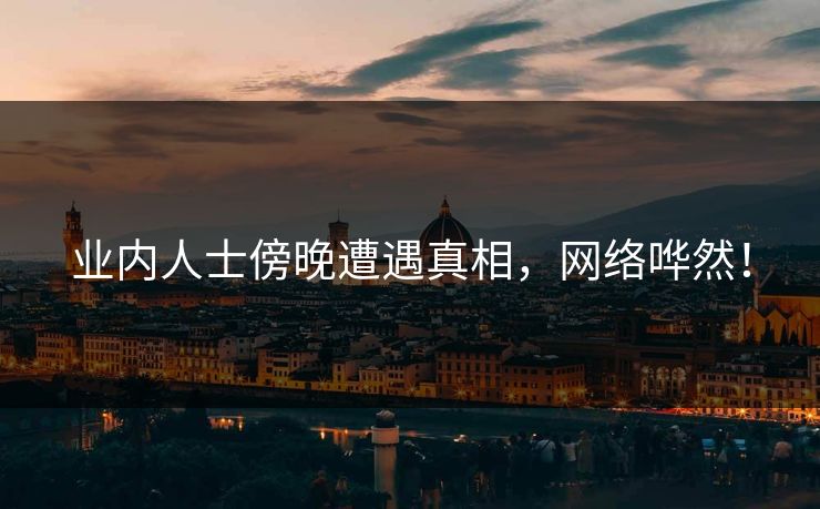 业内人士傍晚遭遇真相，网络哗然！