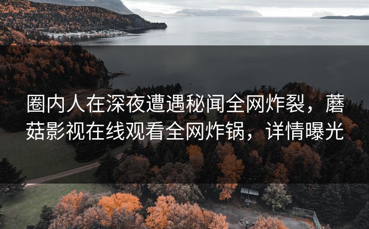 圈内人在深夜遭遇秘闻全网炸裂，蘑菇影视在线观看全网炸锅，详情曝光