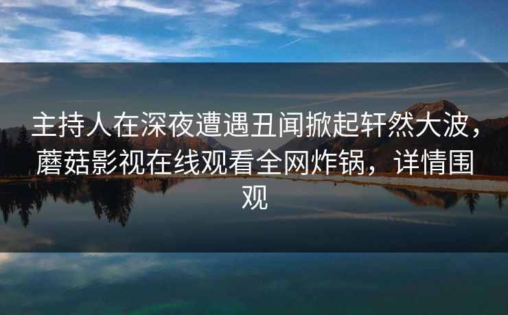 主持人在深夜遭遇丑闻掀起轩然大波，蘑菇影视在线观看全网炸锅，详情围观